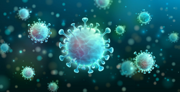 Coronavirus and immune system