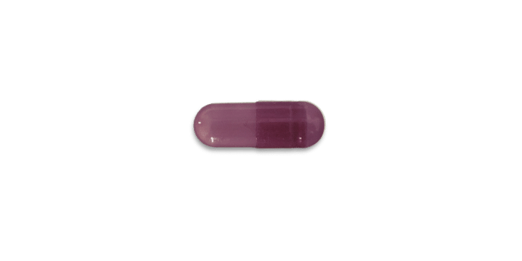 Probiotik Purple Natural Hartkapsel | Goerlich Pharma